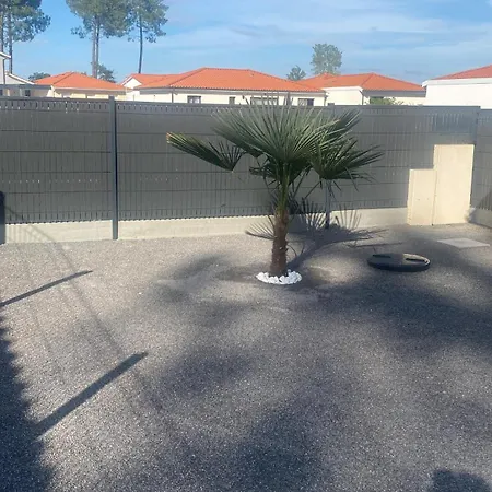 La Pomme De Pin * Mimizan-Plage